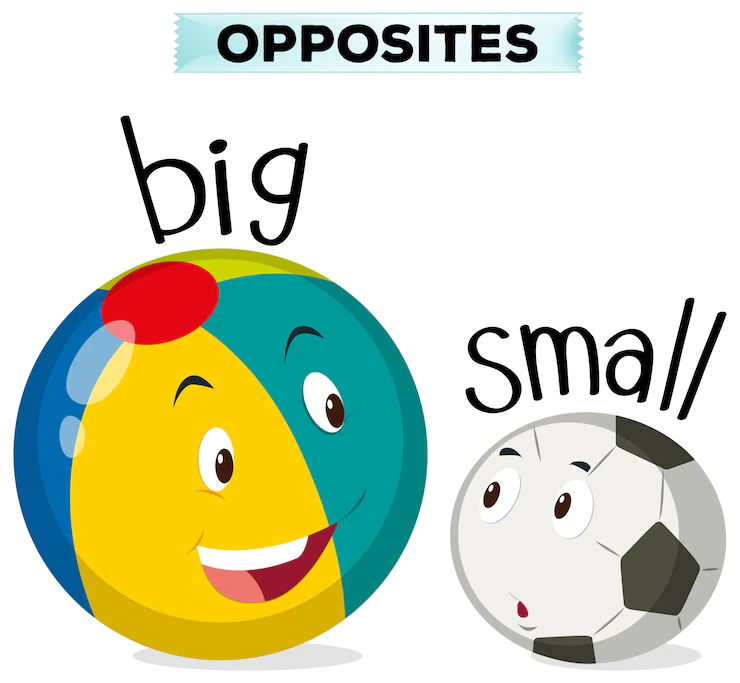Opposite Words In English With Marathi Meaning.webp
